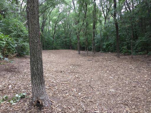 Woodview Off-leash Dog Area