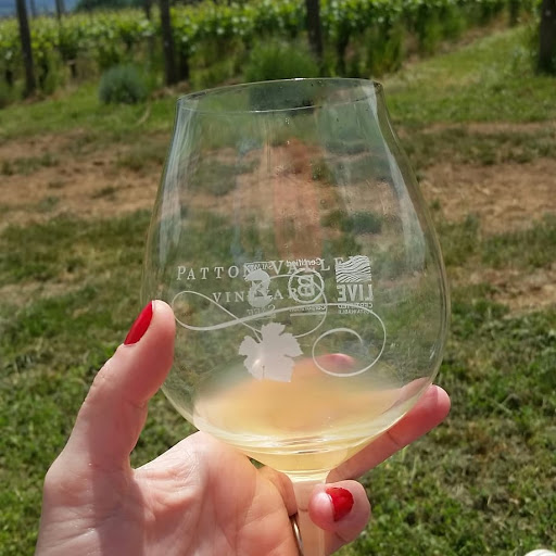 Winery «Patton Valley Vineyard», reviews and photos, 9449 SW Old Highway 47, Gaston, OR 97119, USA