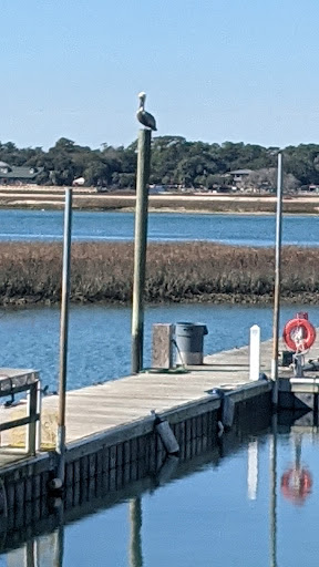 Fishing Charter «Marlin Quay Marina», reviews and photos, 1508 S Waccamaw Dr, Murrells Inlet, SC 29576, USA