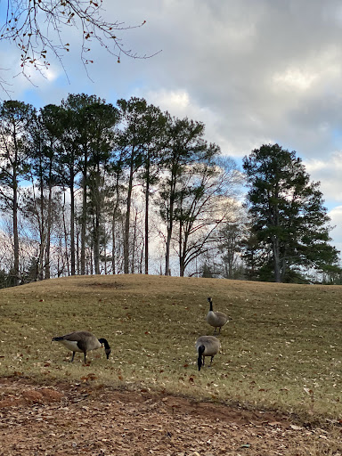 Golf Course «St Marlo Country Club», reviews and photos, 7755 St Marlo Country Club Pkwy, Duluth, GA 30097, USA