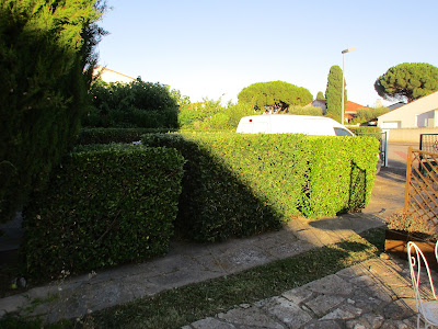 De la graine au jardin à Montpellier
