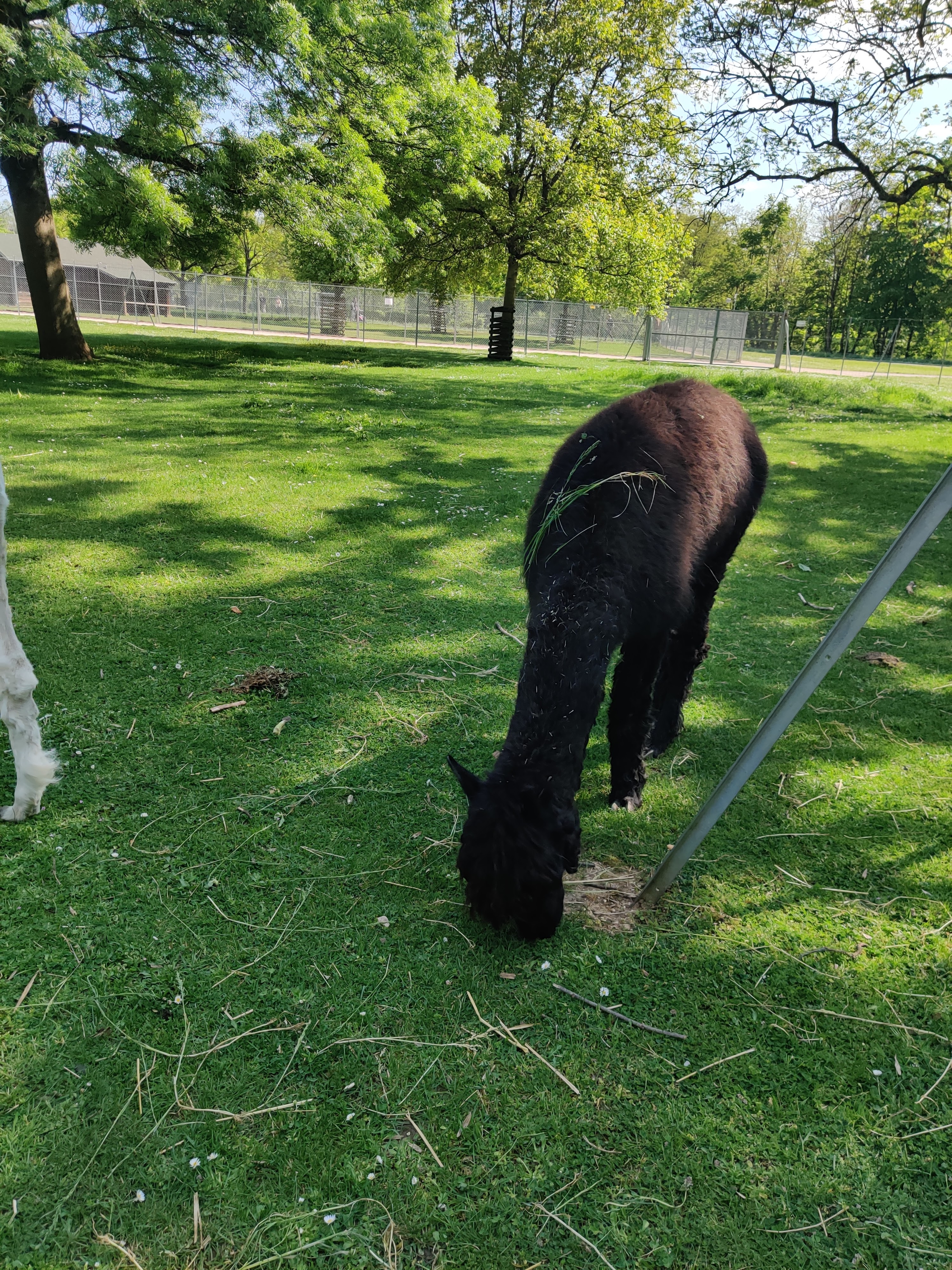 Photo n° 8 de l'avis de Carole.r fait le 01/05/2022 à 15:15