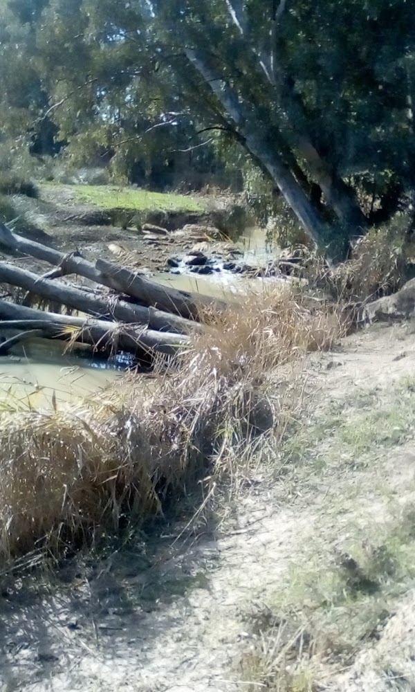 Concesur Mercedes-Benz Alcalá