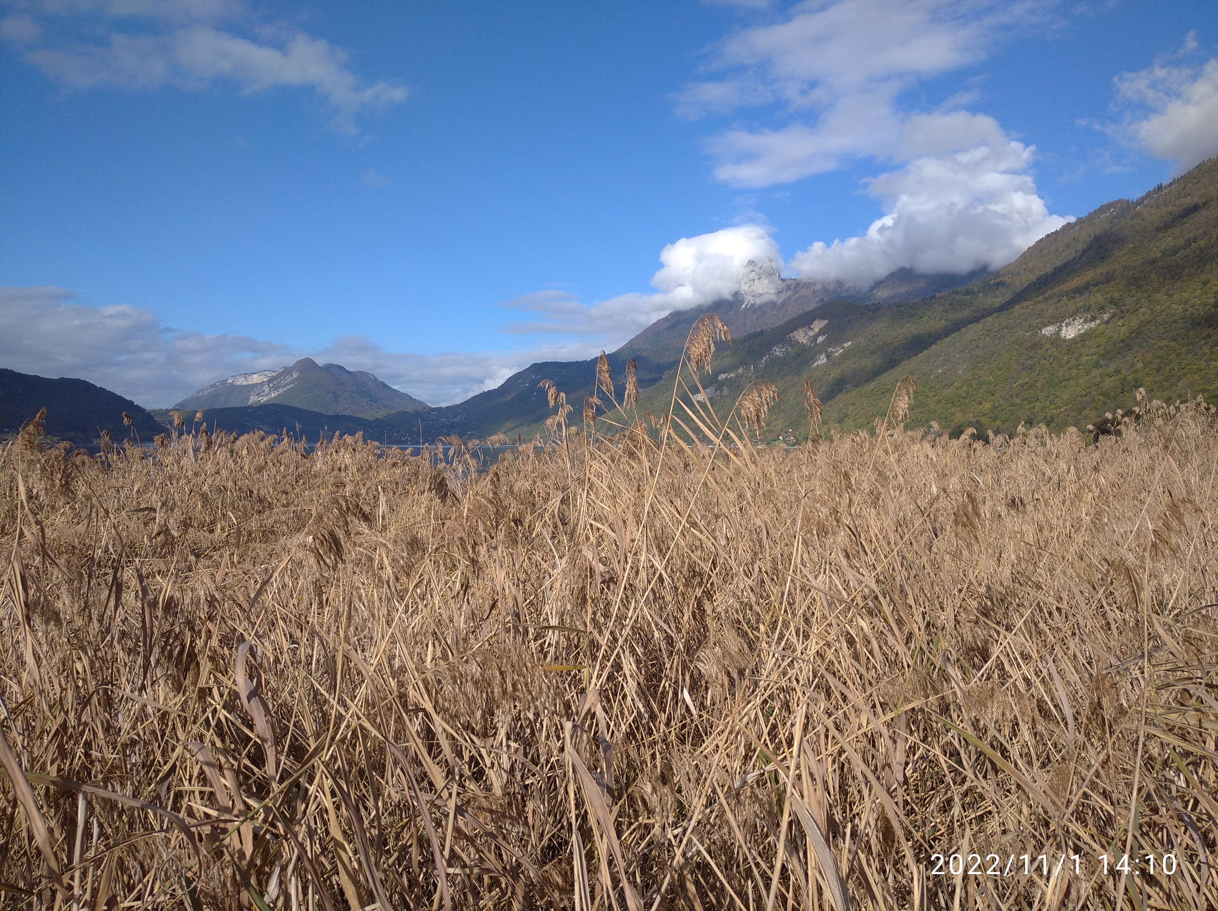 Photo n° 1 de l'avis de Régis.3 fait le 01/11/2022 à 16:24