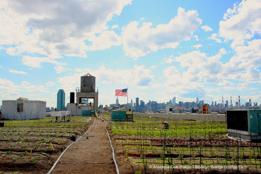 Brooklyn Grange