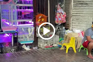 Doykong Petshop image