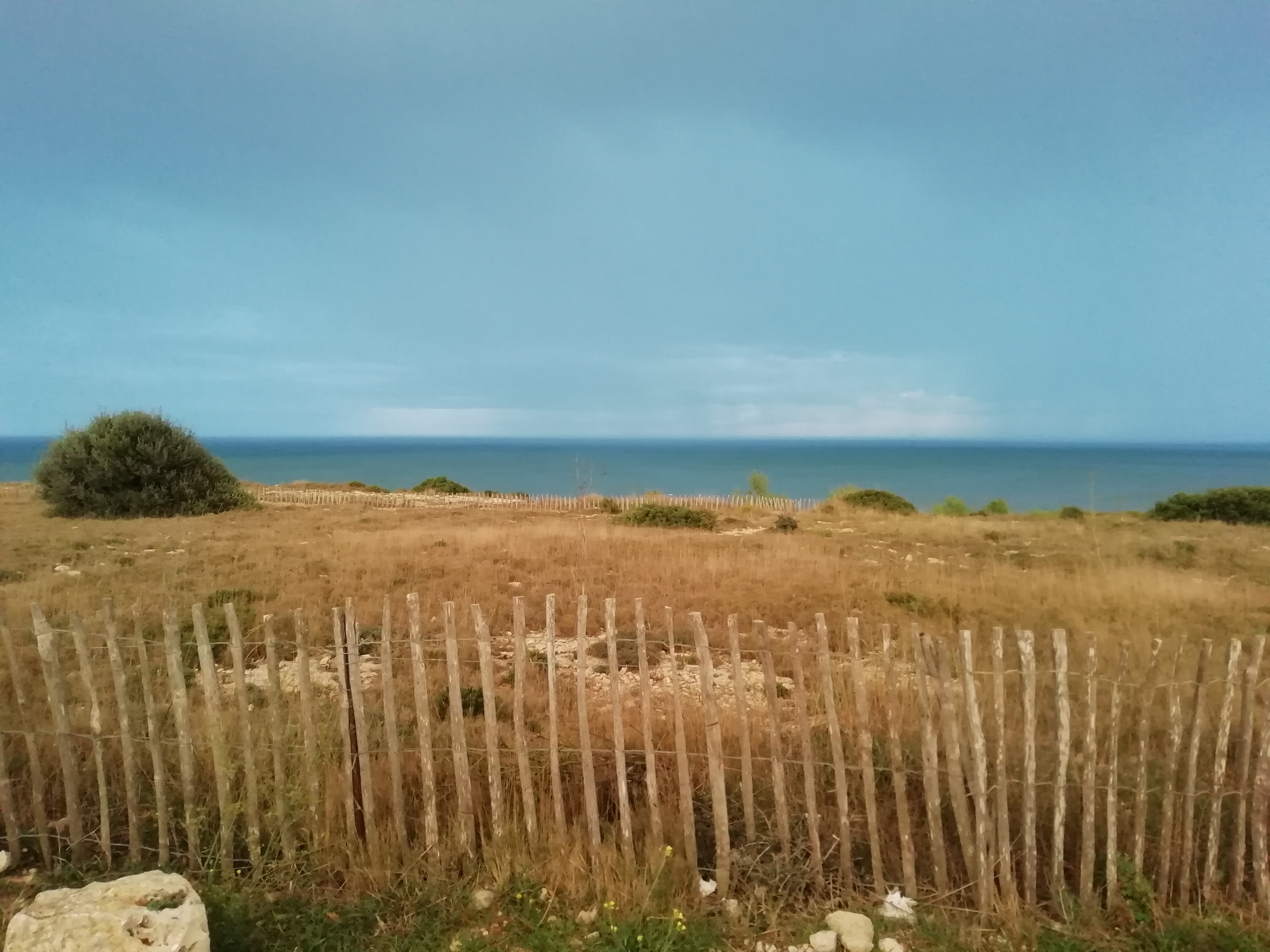 Photo n° 5 de l'avis de Le.o fait le 24/10/2020 à 22:13