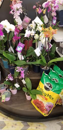 Grocery Store «Stop & Shop», reviews and photos, 265 Main St, North Reading, MA 01864, USA