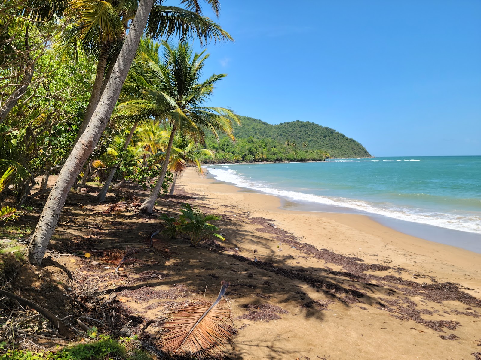 Playa Emajaguas 🏖️ Maunabo, Puerto Rico - gedetailleerde kenmerken, kaart,  foto's, image size:1600x1200