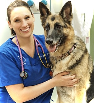 Northside Paws Veterinary Care image