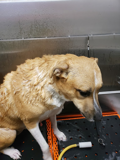 Pet Supply Store «Treats Unleashed», reviews and photos, 306 Mid Rivers Center, St Peters, MO 63376, USA