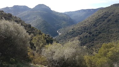 Regione Autonoma Della Sardegna