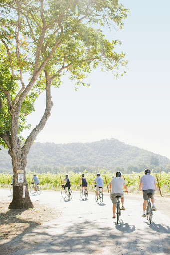 Bicycle Rental Service «Napa Valley Bike Tours & Rentals», reviews and photos, 6500 Washington St, Yountville, CA 94599, USA
