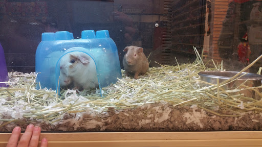 Pet Supply Store «PetSmart», reviews and photos, 3950 28th St SE, Kentwood, MI 49512, USA