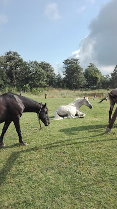 Photos du propriétaire Vacances à la ferme Agriturismo Sterposi 53040 Radicofani