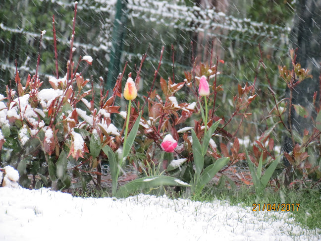 ЗЕМЕН РАЙ БГ ЕООД - Магазин