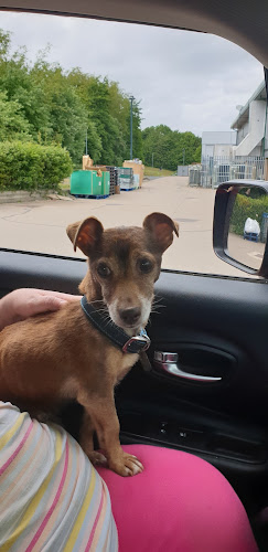 Vets4Pets - Telford - Veterinarian