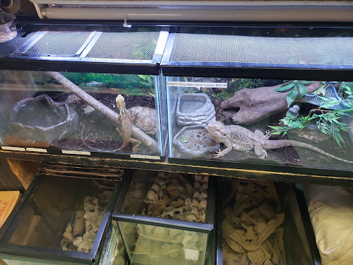 Pet Store «Arcadia Pets», reviews and photos, 4371 Amboy Rd, Staten Island, NY 10312, USA