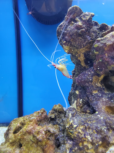 Pet Supply Store «Petco Animal Supplies», reviews and photos, 13127 N Dale Mabry Hwy, Tampa, FL 33618, USA