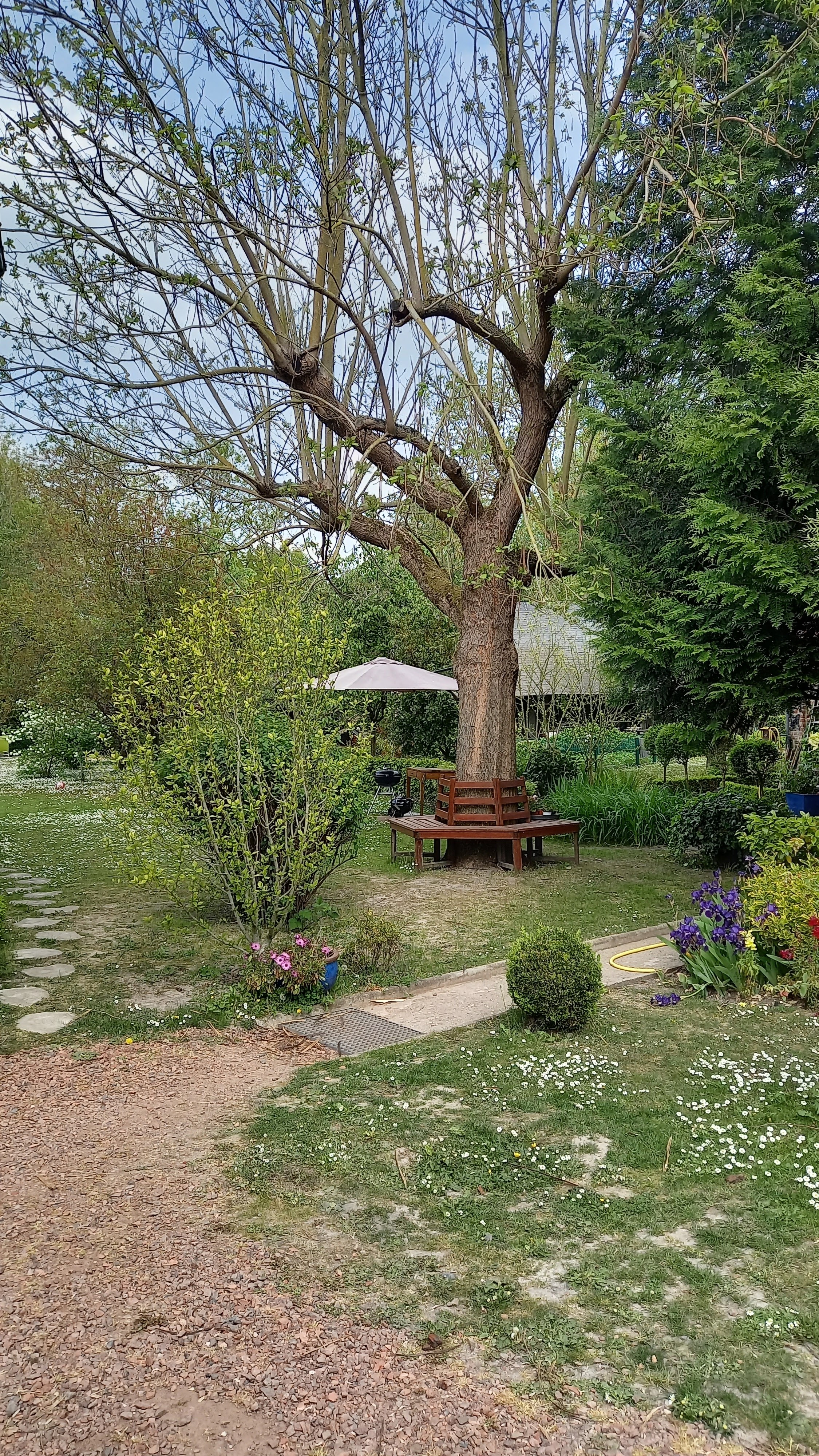 Photo n° 2 de l'avis de Hélène.e fait le 05/05/2022 à 16:28