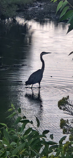 Park «Bear Creek Park», reviews and photos, 3550 S Raleigh St, Denver, CO 80236, USA