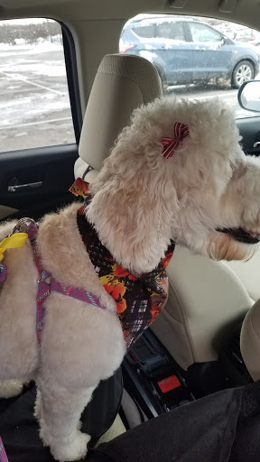 Pet Supply Store «Petco Animal Supplies», reviews and photos, 4820 South Baldwin Road #3B, Orion Township, MI 48359, USA