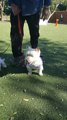 Park «Stonebrook Park», reviews and photos, 14431 W Ely Dr, Surprise, AZ 85374, USA