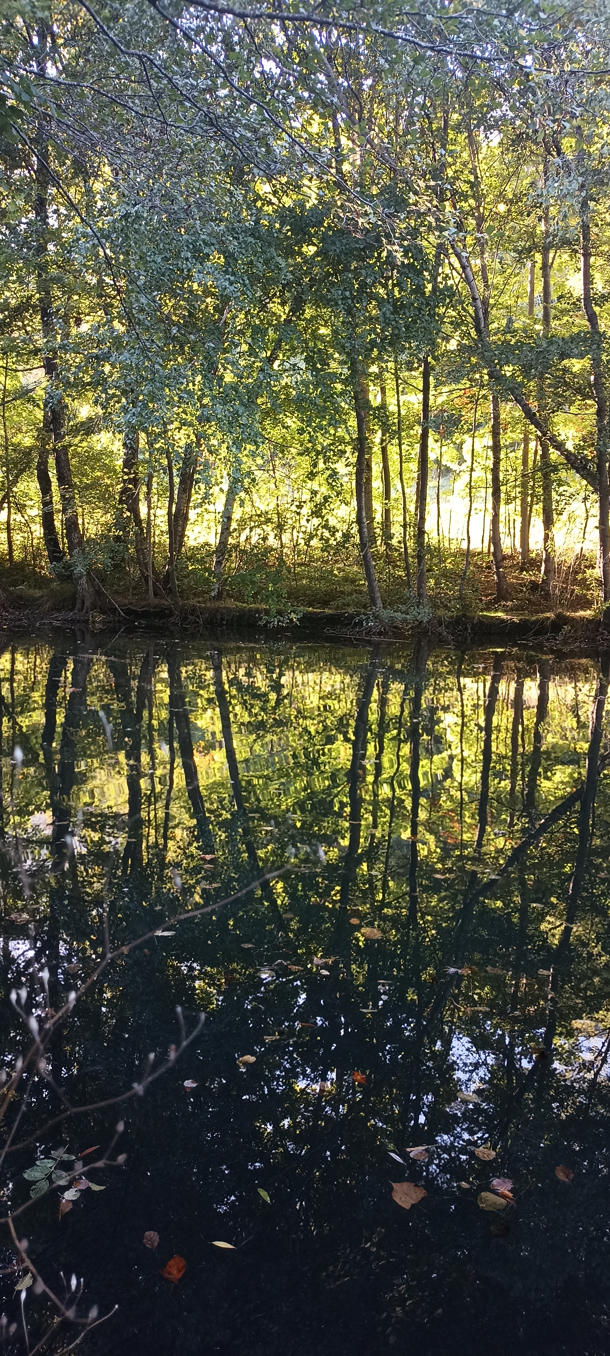 Photo n° 1 de l'avis de stephane.u fait le 15/10/2023 à 21:12