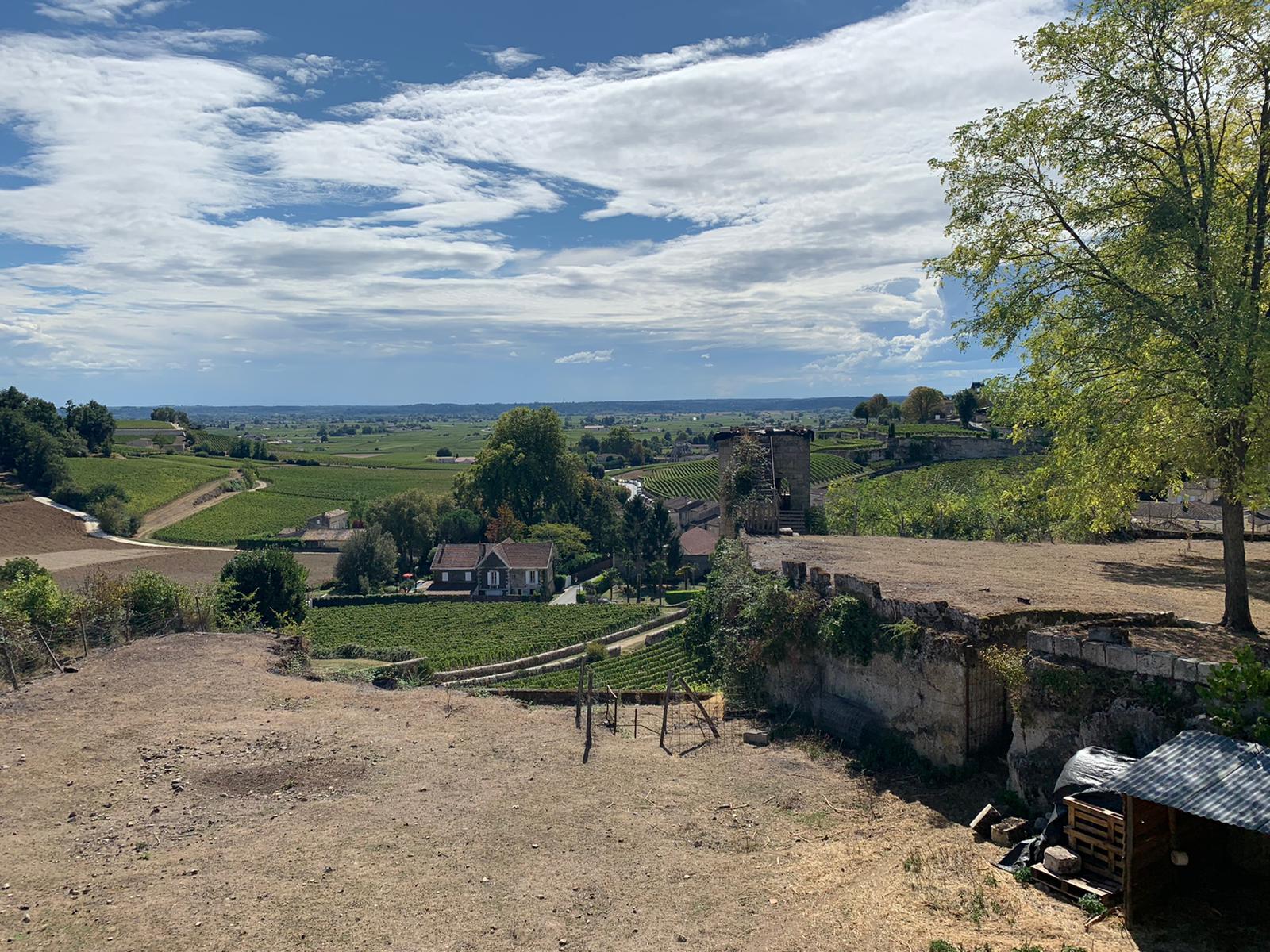 Photo n° 1 de l'avis de Sébastien.a fait le 22/09/2020 à 10:15