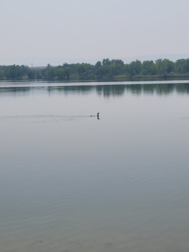 Park «South Platte Park and Carson Nature Center», reviews and photos, 3000 W Carson Dr, Littleton, CO 80120, USA