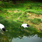 Photo n° 1 de l'avis de fred.r fait le 01/05/2019 à 20:24 pour Parc Zoologique et Végetal de Trégomeur à Trégomeur