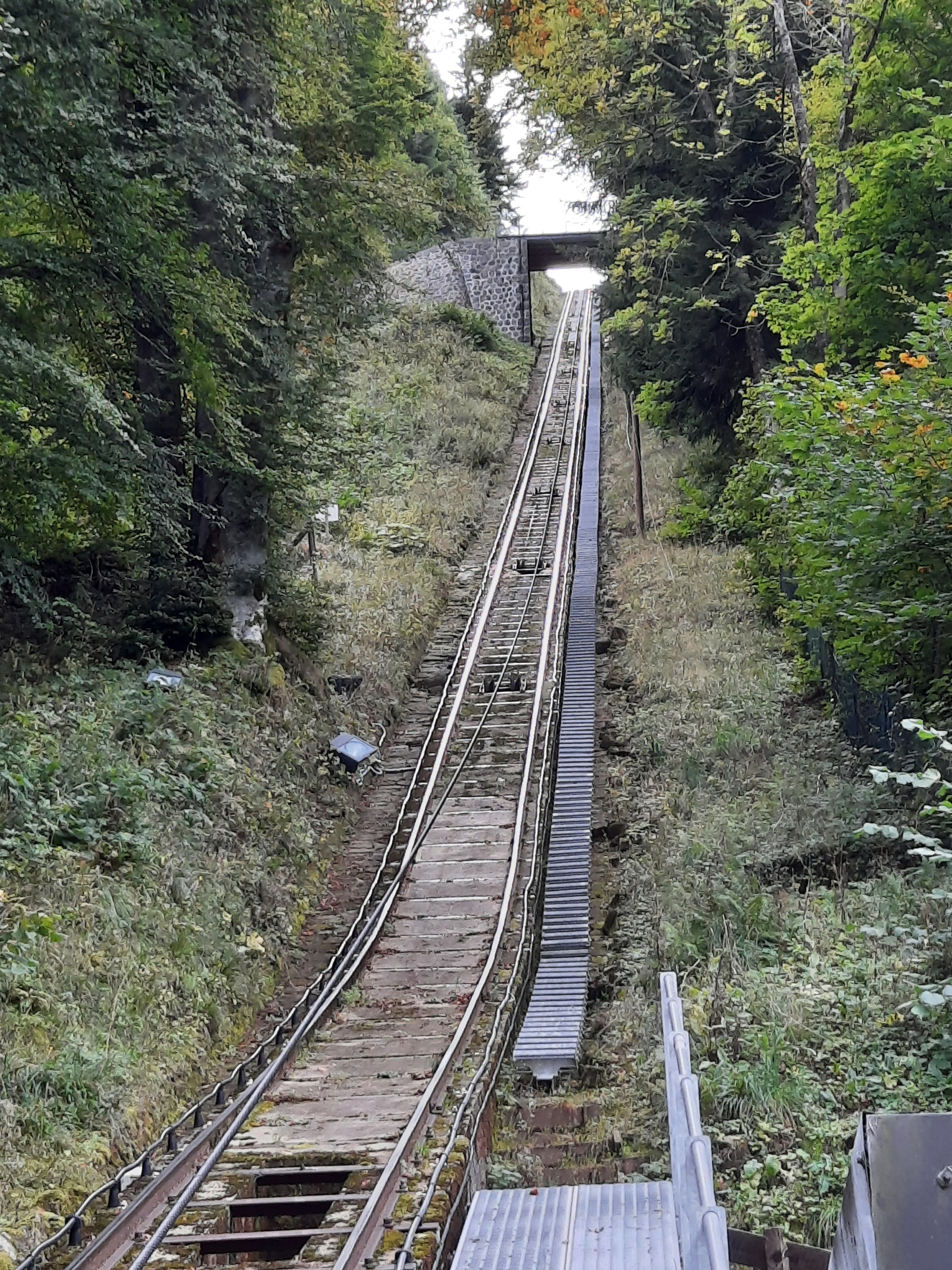 Photo n° 2 de l'avis de Bertrand.r fait le 07/10/2021 à 05:01