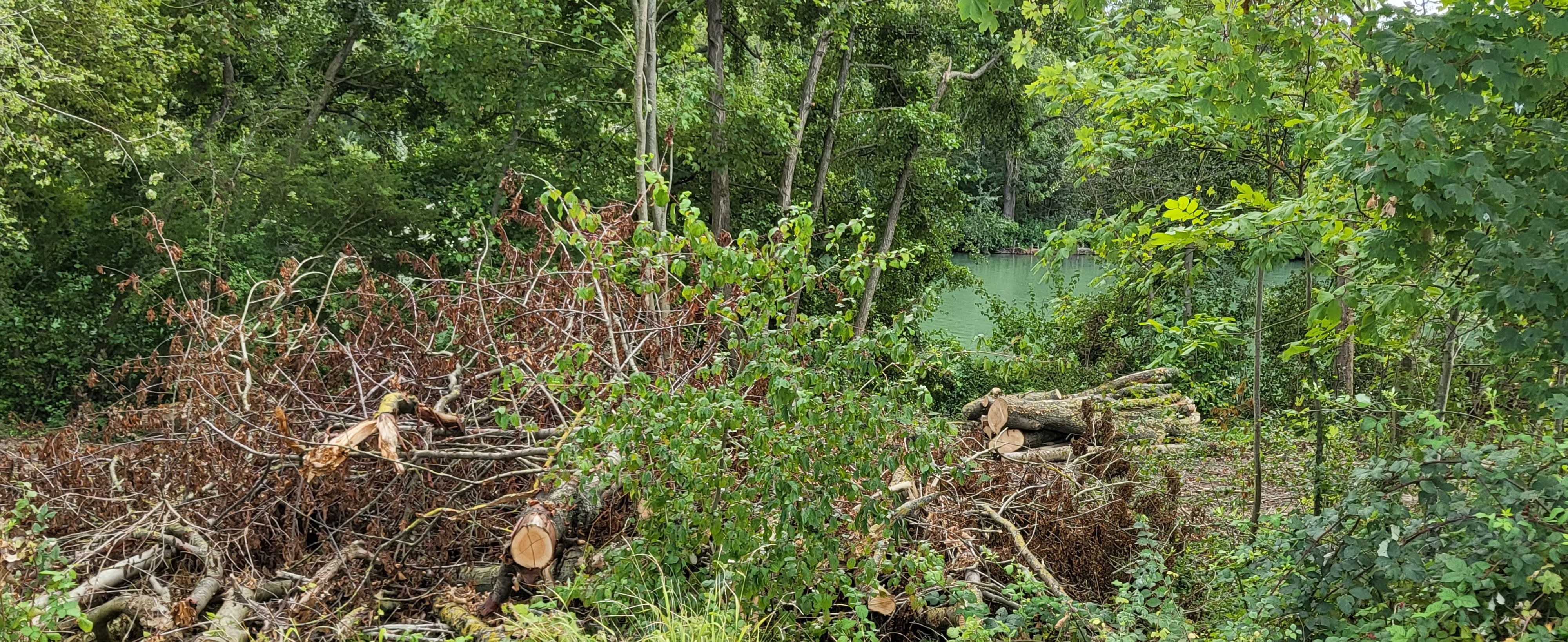 Photo n° 3 de l'avis de R. fait le 28/08/2023 à 09:54