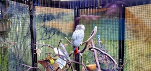 Adventure Aquarium - photo 51