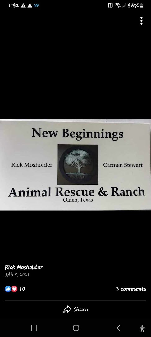 New Beginnings Rescue & Ranch