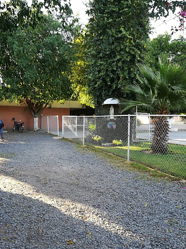 Escuela Mano Amiga de León A.C.