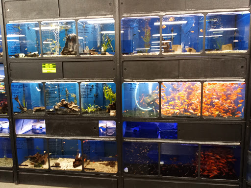 Pet Store «Carters Pet Mart», reviews and photos, 510 N Main St, Manteca, CA 95336, USA