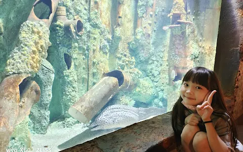 Penang Boutique Aquarium image