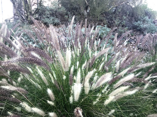 Country Club «Red Mountain Ranch Country Club», reviews and photos, 6425 E Teton Cir, Mesa, AZ 85215, USA