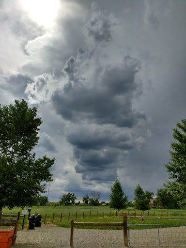 Dog Park «Trail Winds Dog Park», reviews and photos, 13385 Holly St, Thornton, CO 80241, USA