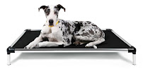 K9 Ballistics - Photo 4 - Car repair in Camarillo, CA, Oxnard