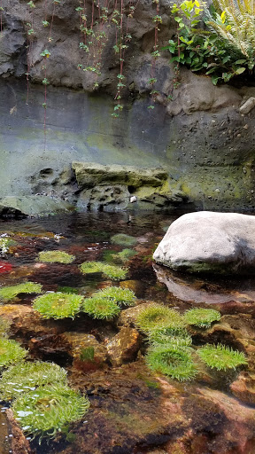 Gift Shop «Seattle Aquarium Gift Store», reviews and photos, 1483 Alaskan Way, Seattle, WA 98101, USA