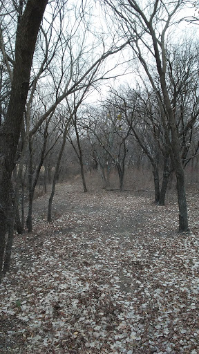 Park «J. C. Grant Neighborhood Park», reviews and photos, 8220 Wade Blvd, Frisco, TX 75034, USA