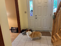 Pella Windows & Doors of Scranton - Photo 4 - Car repair in Scranton, PA, Scranton