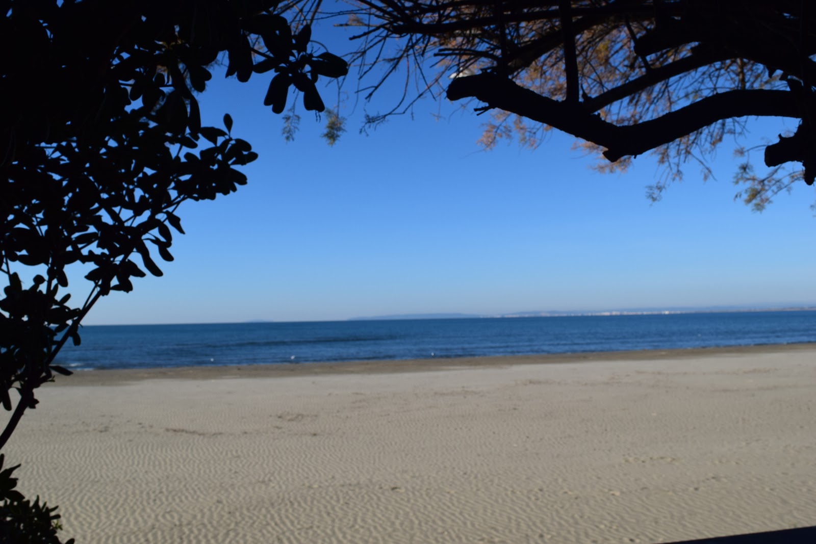 Fotografija Le Grau-du-Roi beach priljubljeno mesto med poznavalci sprostitve