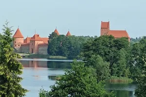 At the Trakai castle image