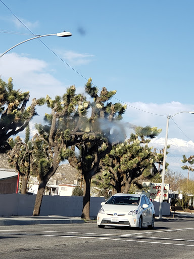 Discount Store «Dollar General», reviews and photos, 55556 Twentynine Palms Highway, Yucca Valley, CA 92284, USA