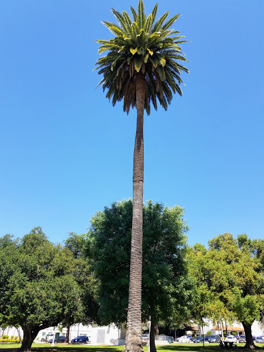 Library Park image