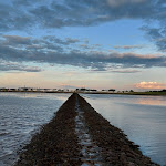 Photo n°1 de l'avis de Pommes.u fait le 29/08/2021 à 17:47 sur le  Sehestedt NATIONALPARK à Jade