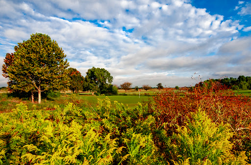 Golf Club «Stonetree Golf Club», reviews and photos, 1600 Stonetree Dr, Killeen, TX 76543, USA